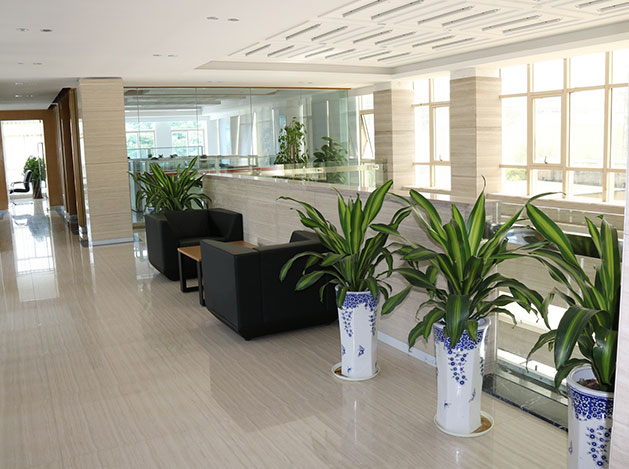 公司場(chǎng)景